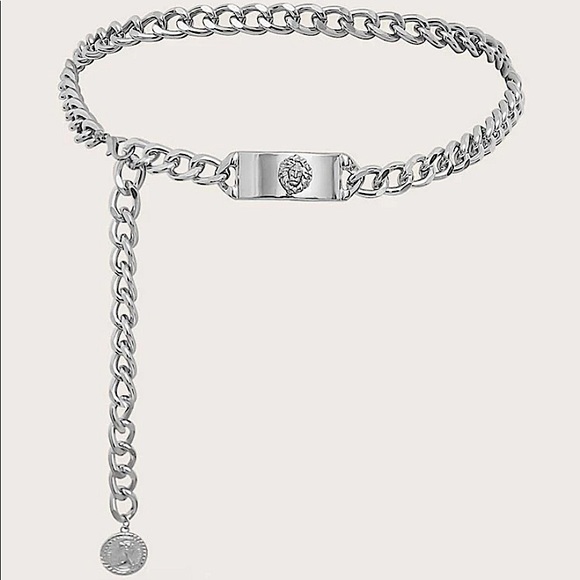 Silver Coin Chain Belt - Picture 2 of 4